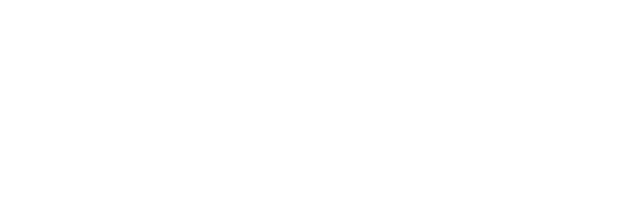 logo2 zw wit